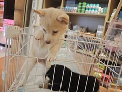 -天河领展广场