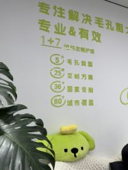 -凡碧诗毛孔清洁收细