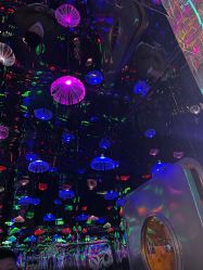 -疯狂冒险家-亲子密室-东坝店(金隅嘉品店)