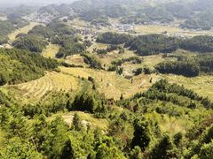 -紫鹊界梯田景区