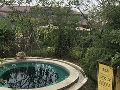 -大连金石滩绿发温泉假日酒店