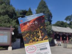 -香山公园