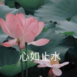 -Dr.林醫生产后修复·超级店(南京江宁同曦店)