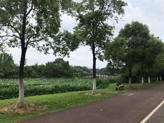 -艾溪湖湿地公园