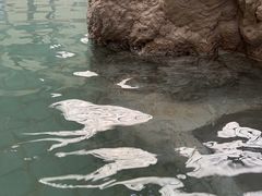 -庐山西海国际温泉度假村