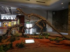 -自贡恐龙博物馆
