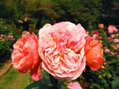 -人民公园(罗湖区)