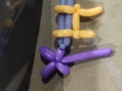 -青岛嘉年华主题乐园