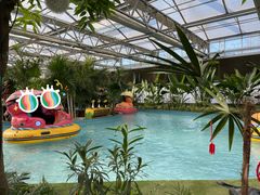 -南宫五洲植物乐园