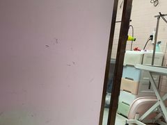 -FAELING PETS美天灵宠物(富力广场店)