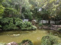 -秋霞圃