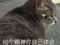 -KOI Thé(正佳广场店)