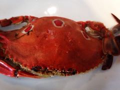 -荣誉国际酒店-云顶旋转餐厅