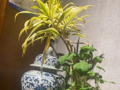 -陈熹公民族美食文化餐厅(中华广场店)