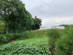 -杭州师范大学(下沙校区)