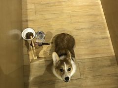 -Double Rui宠物酒店