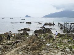 -西涌国际滨海旅游区