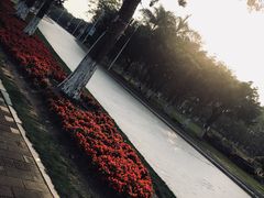 -南沙天后宫景区