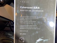 -TESLA 特斯拉(上海太古汇体验店)