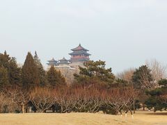 -莲花池公园