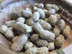 -嵩屿9号海景餐厅|海鲜闽菜(建港路店)