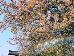 -大雁塔北广场音乐喷泉