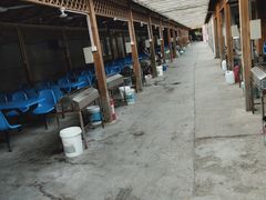 -亲兄弟真人CS团建拓展基地