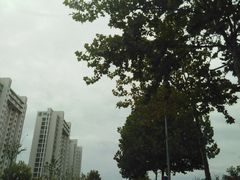 -山东大学齐鲁医院(青岛院区)