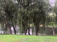 -长春公园(普阳街道)