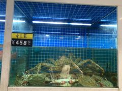 -金龙·打边炉(南京西路店)