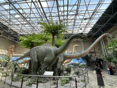 -国家自然博物馆