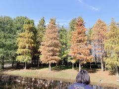 -同里国家湿地公园