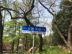 -八大关景区