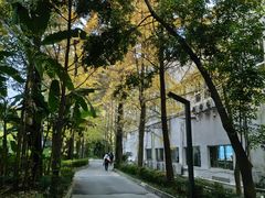 -东坡羽毛球馆(东坡南一路店)