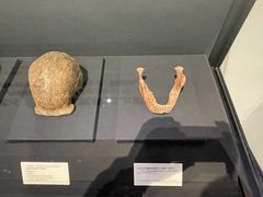 -北京周口店北京人遗址博物馆