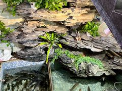 -山水茶艺馆·点心粤菜·30年老字号