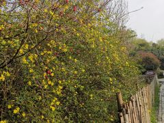 -贵阳市花溪国家城市湿地公园