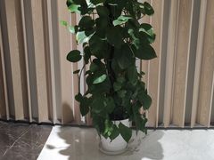 -南京大学-第9食堂