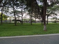 -海珠湖公园