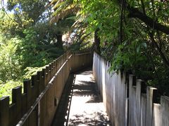 -怀托摩萤火虫洞
