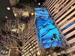 -桂满陇·海市蜃楼·黑金(国金店)