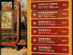 -茯茶镇
