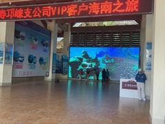 -海南分界洲岛旅游区