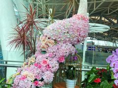 -重庆江北国际机场-T2航站楼