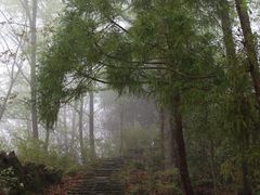 -天台山景区