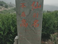 -杭州少年儿童公园