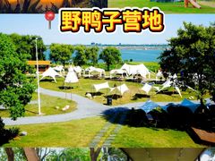 -阳澄湖半岛旅游度假区