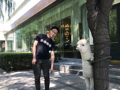 口水鸡-峨嵋酒家总店(车公庄店)