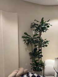 -KONSISTANT科思坦汀问题肌·科技美肤