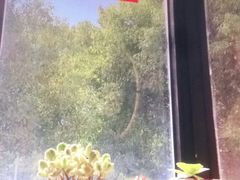 -胜华驾校·小猫学车(银都店)